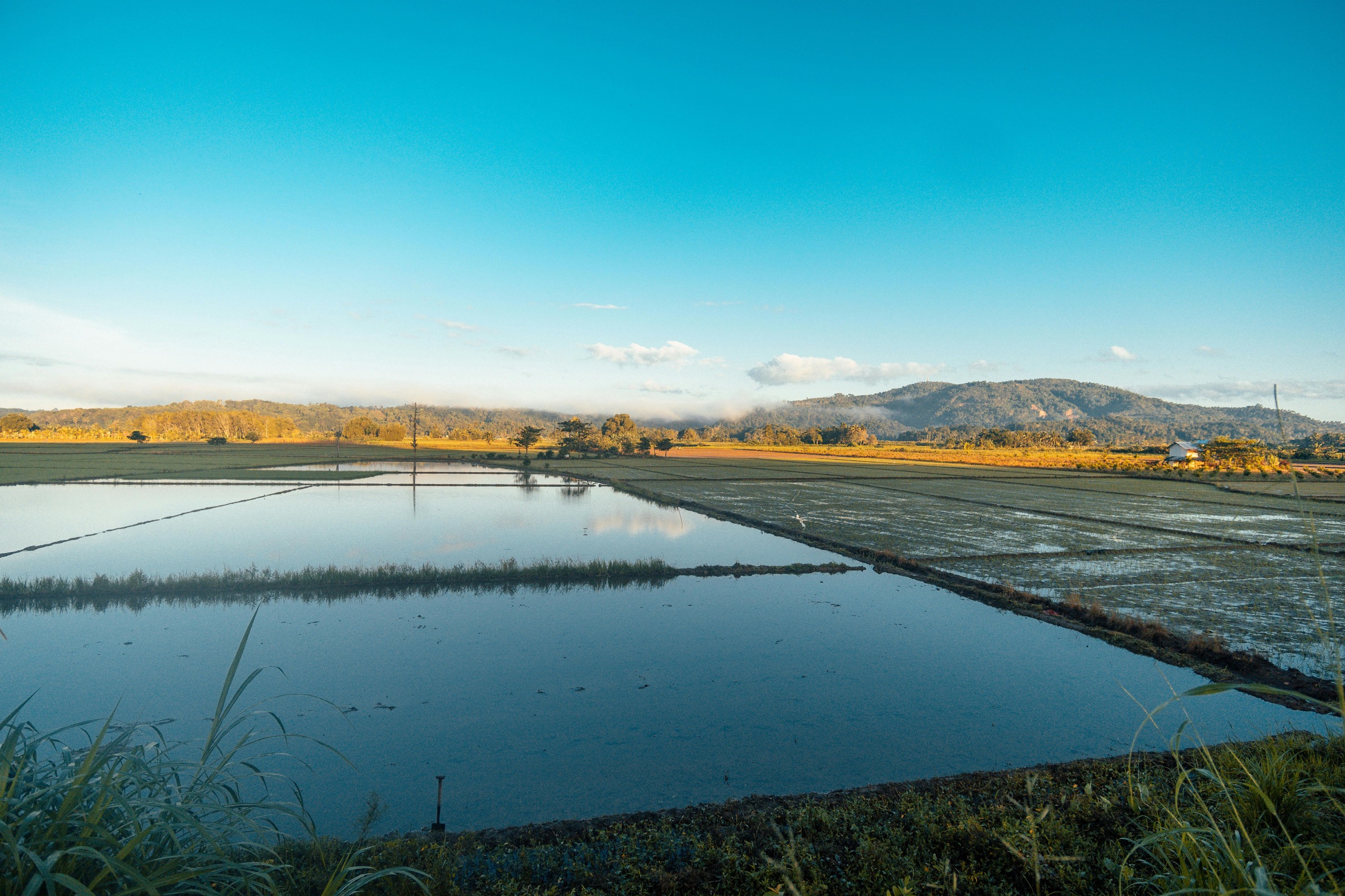 مشهد زراعي يعكس البيئة التشغيلية العامة